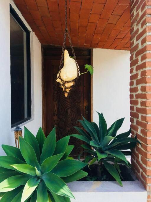 Finca Taino. Hermosa Casa Con Alberca Jiutepec Eksteriør bilde
