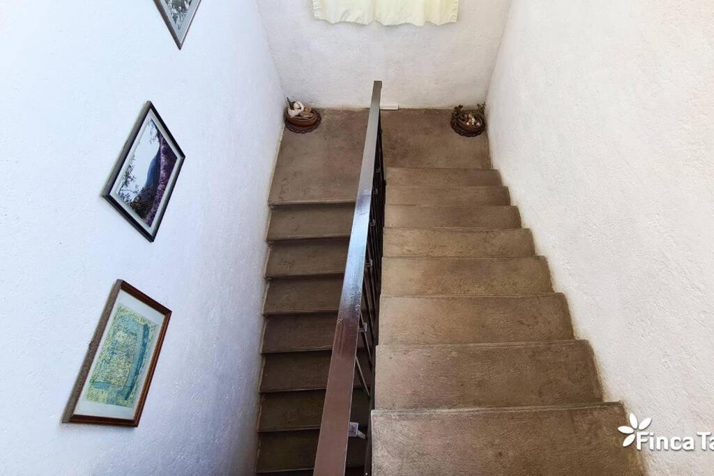 Finca Taino. Hermosa Casa Con Alberca Jiutepec Eksteriør bilde